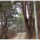 물청천소류지 Daum카페