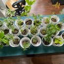 샤인빌 시니어스 너싱홈 이미지