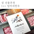 설선물추천 | 엄마네한우 투뿔한우 백두명작 버터처럼 녹는 한우선물세트 후기
