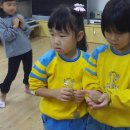 수암초등학교병설유치원 이미지