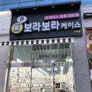 보라보라케이스 이미지