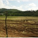 청계목장 이미지