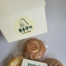 용송쿠키 이미지