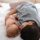 토닥토닥 이미지