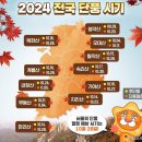 ﻿2024년,9월26일(목) #【매일뉴스브리핑】 이미지