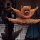 제주보배 이미지