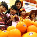 한국스마일마트 이미지
