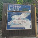 부경매점