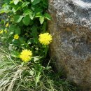 카페링크 이미지