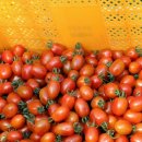 성림농원 이미지