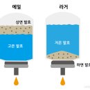 효모(yeast) / 맥주효모 ㅡ 맥주의 종류