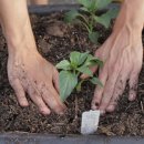 나가지농장 이미지