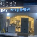 베이동물병원 이미지