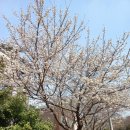 한재로타리 이미지