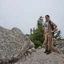 화채봉 Daum카페