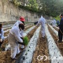 대장1리 이미지