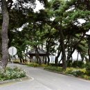 남원 황산대첩비지 | 남원 동편제 마을(황산대첩비지 / 송흥록 생가)