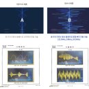 식당식기세척기 렌탈? 2곳 시연해보면서 안 유명사기업체