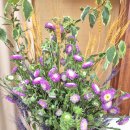 2025년 7월 6일 / 성령강림절 후 넷째 주일 이미지