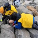 동삼희망마을 이미지