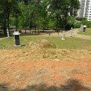 한국세륜 이미지