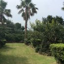 이익선 농장 이미지