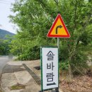 솔바람캠핑장 - 서천군 장항산단로34번길 48-44 | 밀양 키즈캠핑장 추천 솔바람캠핑장 (feat.노브랜드오리지널숯불닭꼬치 후기)