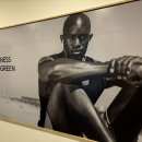 히트짐 더라이트그린 평리점 이미지