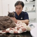 스타동물병원 이미지