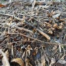 터골농장 이미지