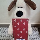 위즈덤하우스어학원 | B7: <나의 미치광이 이웃>