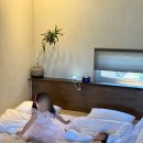 스테이알오