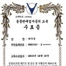 드라이빙펫 안심하개 이미지