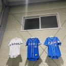 [평택, 안성]칠곡저수지 근처 야구연습장 후기