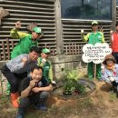 친환경 화분 만들기 이미지