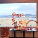 마이독 | 광주 넓은 천연 잔디 애견카페 마이힙독 다녀왔어요!