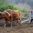 소로3-76 이미지