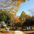 노을공원가로수길 이미지