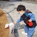 뽀뽀야어린이집 이미지