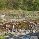 솔까치펜션 이미지