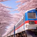 진해목장 이미지