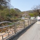 박순자김밥 이미지