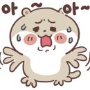 엘라에뜨