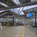 웅양방면 버스승강장 화장실 | 렌트 없이 버스와 택시로 구경하는 대마도 히타카츠 2박 3일 나홀로 여행 1일차 코스