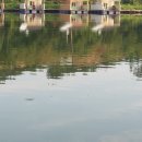 도곡낚시터 이미지