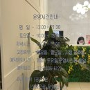 FM | 강남역 에스테틱공간 추천, 피부톤 맑아지는 FM 매직리프팅 관리 후기