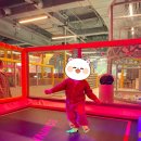 [공지] 다산 바운스 트램폴린파크(남양주현대아울렛센터)를 다녀왔습니다~⭐️🌟 (체험활동)