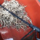 새로이농장 이미지