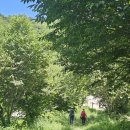 무더운 날씨 이미지