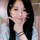 성모동물병원 이미지